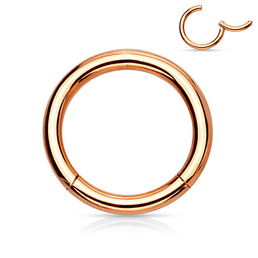Surgical Steel Hinged Ring