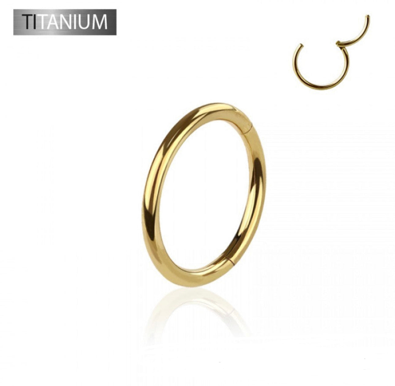Titanium Hinged Nose Ring- F18