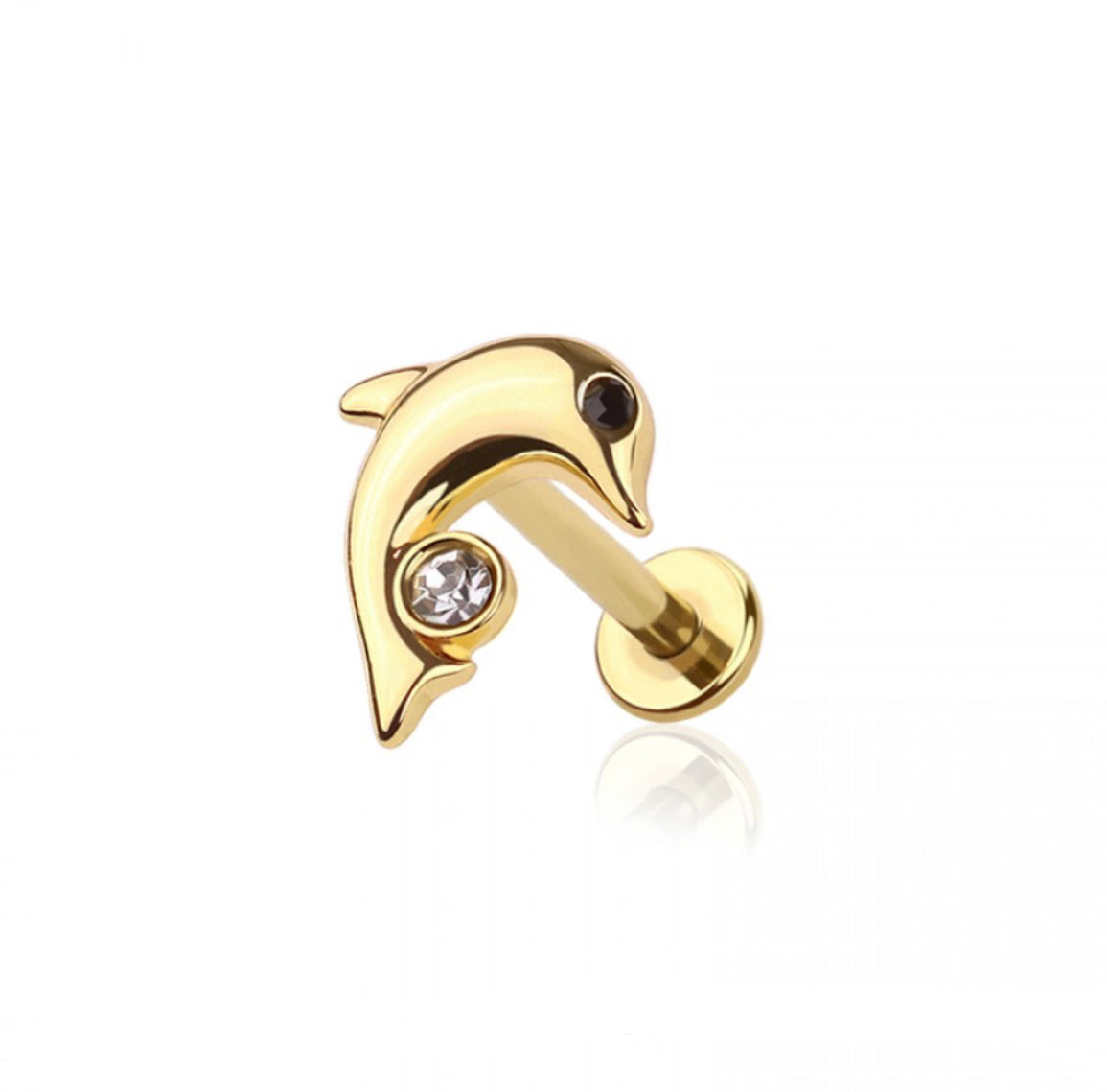 Dolphin Labret- H8