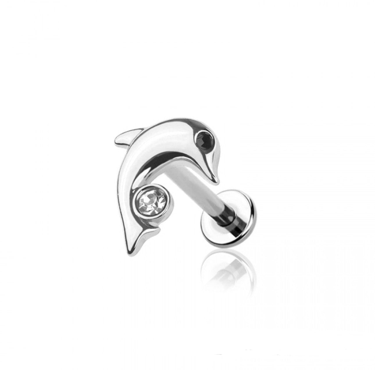 Dolphin Labret- H8