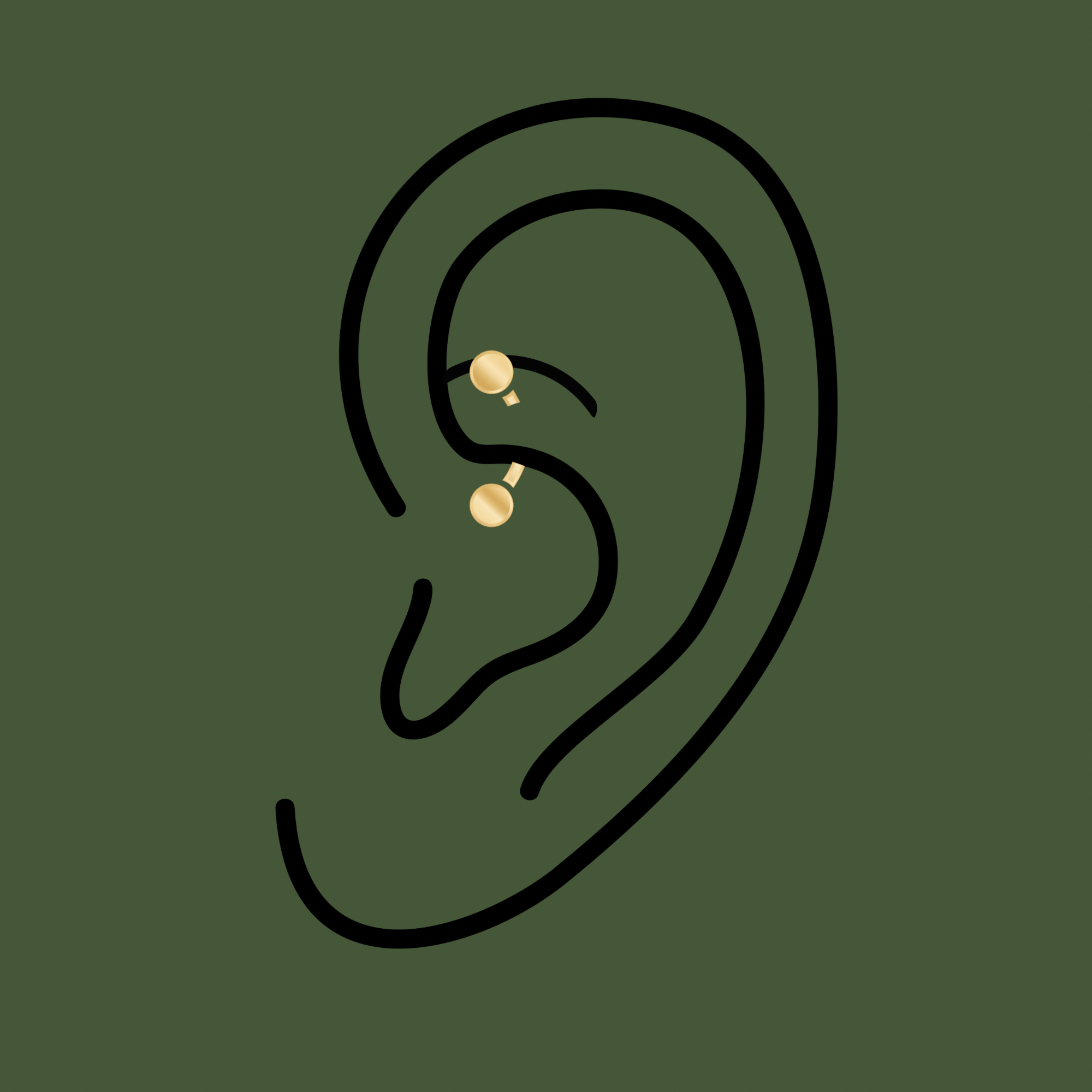 Rook