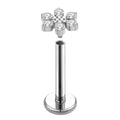 Titanium Labret - 6 Gem Flower