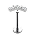 Titanium Labret - Multi CZ Cluster